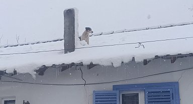 Bilecik Pazaryeri'nde kar altında kurtarma operasyonu