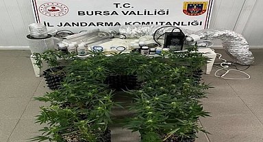 Bursa İnegöl'de evde esrar üretimine Jandarma baskını