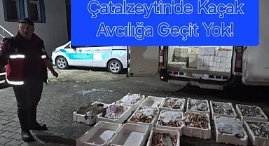 Çatalzeytin’de 1,5 ton yasa dışı balığa el konuldu