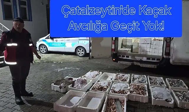Çatalzeytin'de 1,5 ton yasa dışı balığa el konuldu