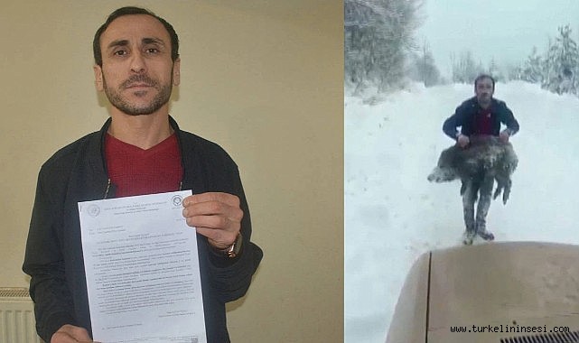 Eliyle domuz yakalayan vatandaşa şok ceza