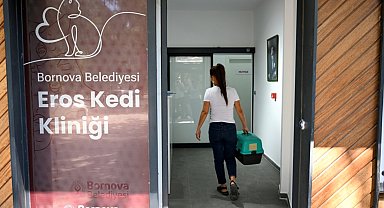 Eros Kedi Kliniği Bornova'da umut oldu