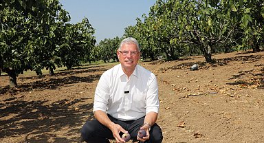 Mudanya Belediyesi'nden taşınmaz açıklaması: Satışa çıkan alanlar köy arazisi değil