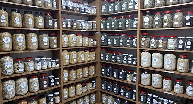 Muğla Büyükşehir'den 81 ile 22 milyon yerel tohum