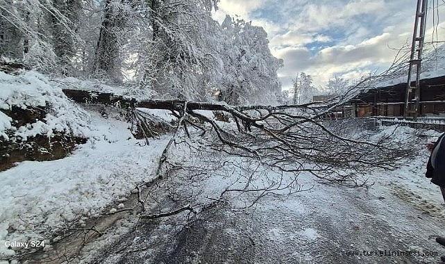 Türkeli - Ayancık karayolu açıldı: Kıl payı kurtuluş