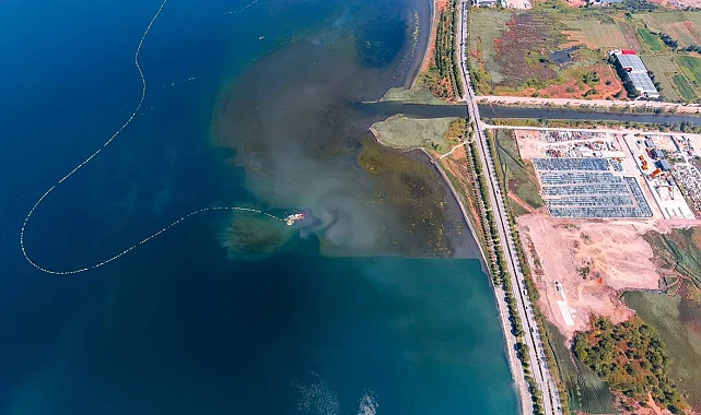İzmit Körfezi'nde deniz temizleniyor, ekosistem güçleniyor