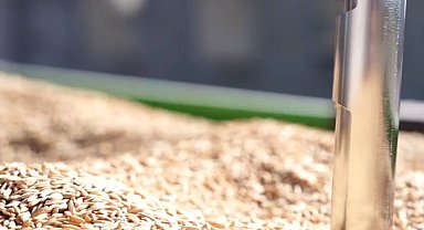 TMO'da çeltik alımları sürüyor