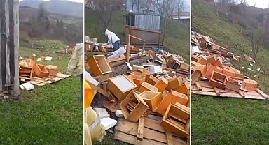 Türkeli'de şiddetli fırtına arıcılığı vurdu: Onlarca kovan zarar gördü