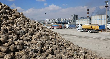 Üretici ortaklara pancar bedelleri ödeniyor