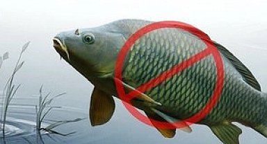 Adana'da sazangillerin avcılığına 31 Mayıs'a yasak!