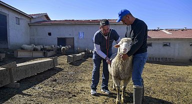 Ankara'da kırsaldaki üreticiye can suyu