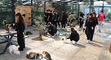 Bursa Yıldırım'da gençlerden patili dostlara sevgi ziyareti