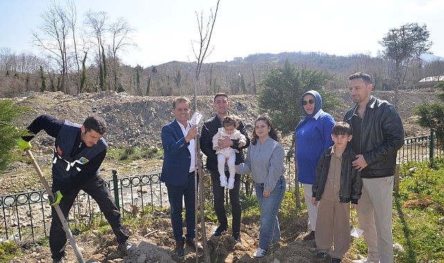 Geleceğin fidanları Türkeli'de toprakla buluştu