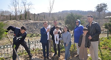 Geleceğin fidanları Türkeli'de toprakla buluştu