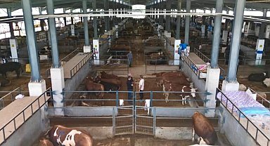 İnegöl Belediyesi hayvan pazarının kotra ihale tarihi belli oldu