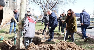 Kayseri Melikgazi'de bahar fidan dikimiyle geldi