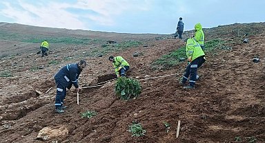 Kocaeli Gebze'de Büyükşehir'le yeşile dokunuş