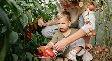 Sakarya'da çocuklar tarımın kaşifi olacak