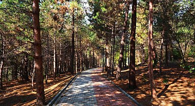 Sakaryalılar baharı 'Huzur Koridoru'nda koşarak karşılayacak