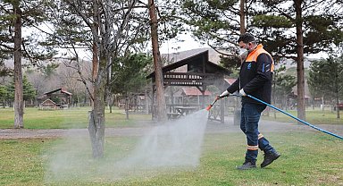 Sivas'ta yaz öncesi ilaçlama seferberliği