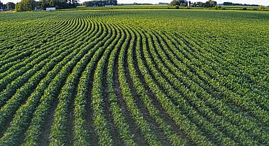 Tarım arazilerinin etkin kullanımı için hibe desteği