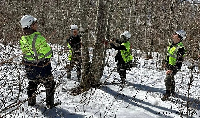 Türkeli’de gürgen ormanları için seferberlik