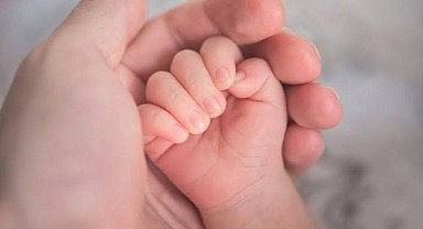 Türkeli'de son 10 yılda doğum sayısı %40 azaldı