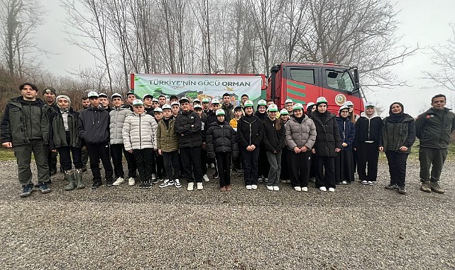 Türkeli'de yüzlerce fidan toprakla buluştu