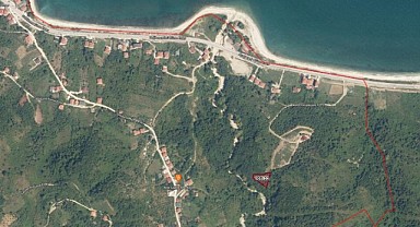 Türkeli Işıklı köyünde sahibinden satılık tarla