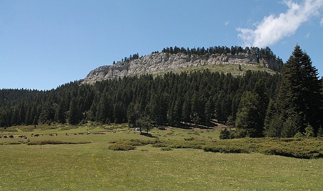 Türkeli'nin zirvesinde hemşehri buluşması yaşanacak