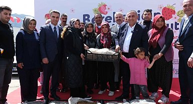 Adana Büyükşehir'den Pozantı'ya 900 bin çilek fidesi desteği