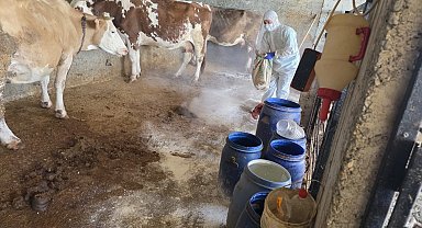 Adıyaman'da zoonoz hastalıklara karşı aşılama sürüyor