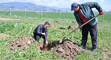 Antalya Korkuteli ilk kez ipekböcekçiliği ile tanışıyor