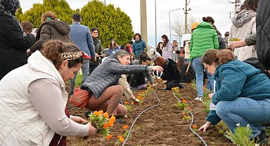 Balıkesir Büyükşehir'den tıbbı ve aromatik bitkiler yetiştiriciliği kursu