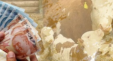 Çiftçiye 350,9 milyon TL destek ödemesi hesaplarda