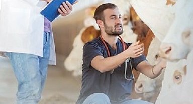 Denizli Büyükşehir'den üreticiye sahada destek