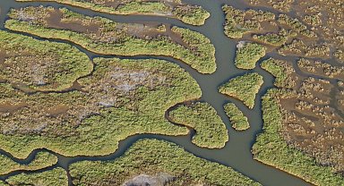 Gediz Havzası'nda kirlilik artıyor!