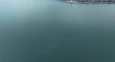 İzmir Körfezi'nde dış kaynaklı kirliliğin önüne geçilemiyor