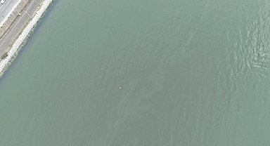 İzmir Körfezi'nde kirlilik endişelendiriyor! Aynı tehdit 11. kez görüldü