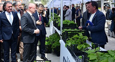 Kestel'de çiftçiye Ahududu desteği