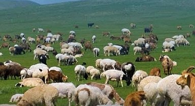 Kırsalda Bereket başvurularında son gün 30 Nisan