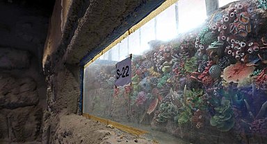 Kocaeli 'akvaryum' için geri sayım başladı... 30 farklı akvaryum eşsiz gezi yaşatacak