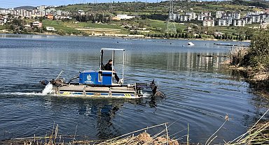 Kocaeli Gölkaypark'ta çöp ve bitkisel atık temizliği