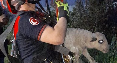 Kuyuya düşen kuzuya İzmir İtfaiyesi'nden nefes kesen kurtarma