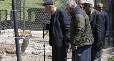 Mersin Büyükşehir, emeklileri doğayla buluşturuyor