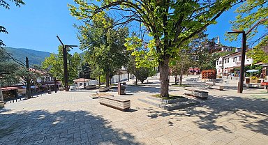 Sakarya Taraklı'da tarihi çınar yeniden hayat buluyor