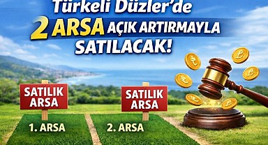 Türkeli Düzler'de 2 arsa açık artırmayla satılacak