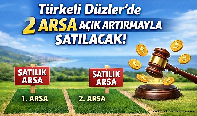 Türkeli Düzler'de 2 arsa açık artırmayla satılacak