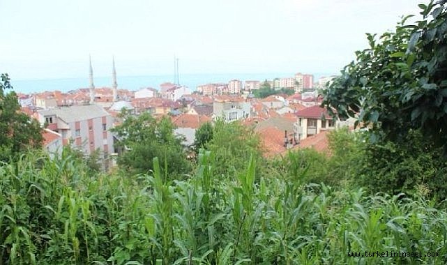 Türkeli Tümerkan Mahallesinde sahibinden satılık arsa