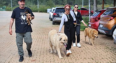 Antalya'da can dostlar sıcak yuvalarına kavuşuyor